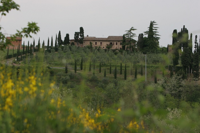 Toscane - 355